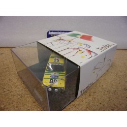 1979 Ford Escort RS2000 n°25 Chasseuil - Chonez 1st Gr1 Marocco Rally ref 1808 Trofeu