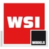 WSI Models